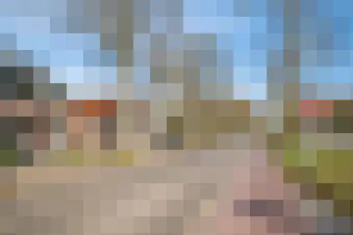 Laan van Borgele 97 Deventer thumbnail 35