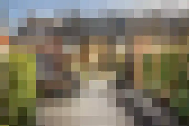 Laan van Borgele 97 Deventer thumbnail 36