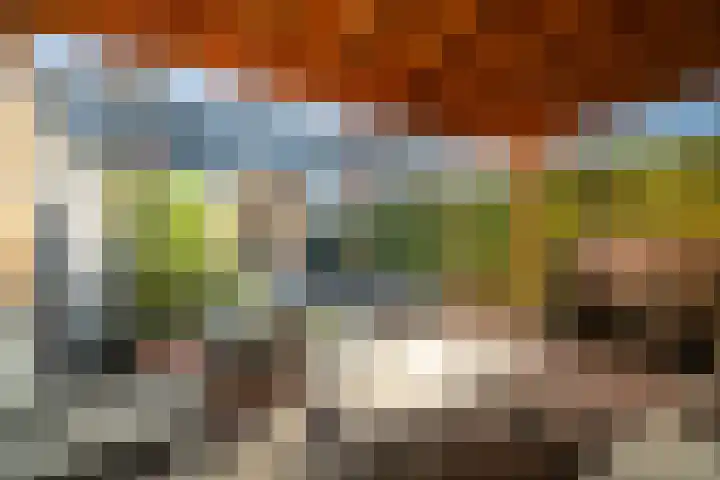 Laan van Borgele 97 Deventer thumbnail 4