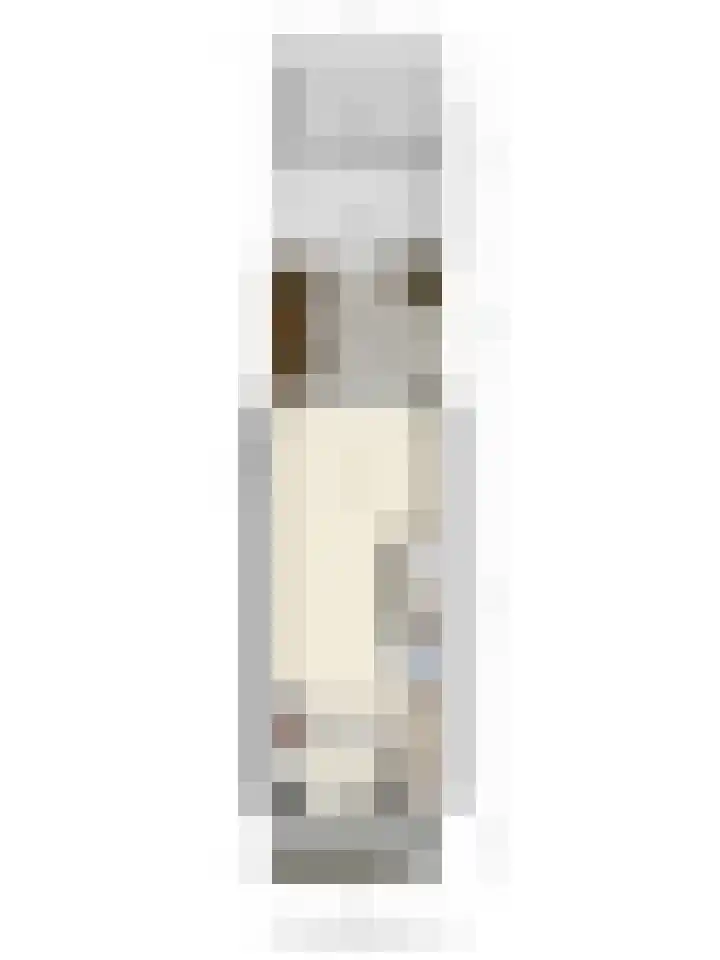 Laan van Borgele 97 Deventer thumbnail 40