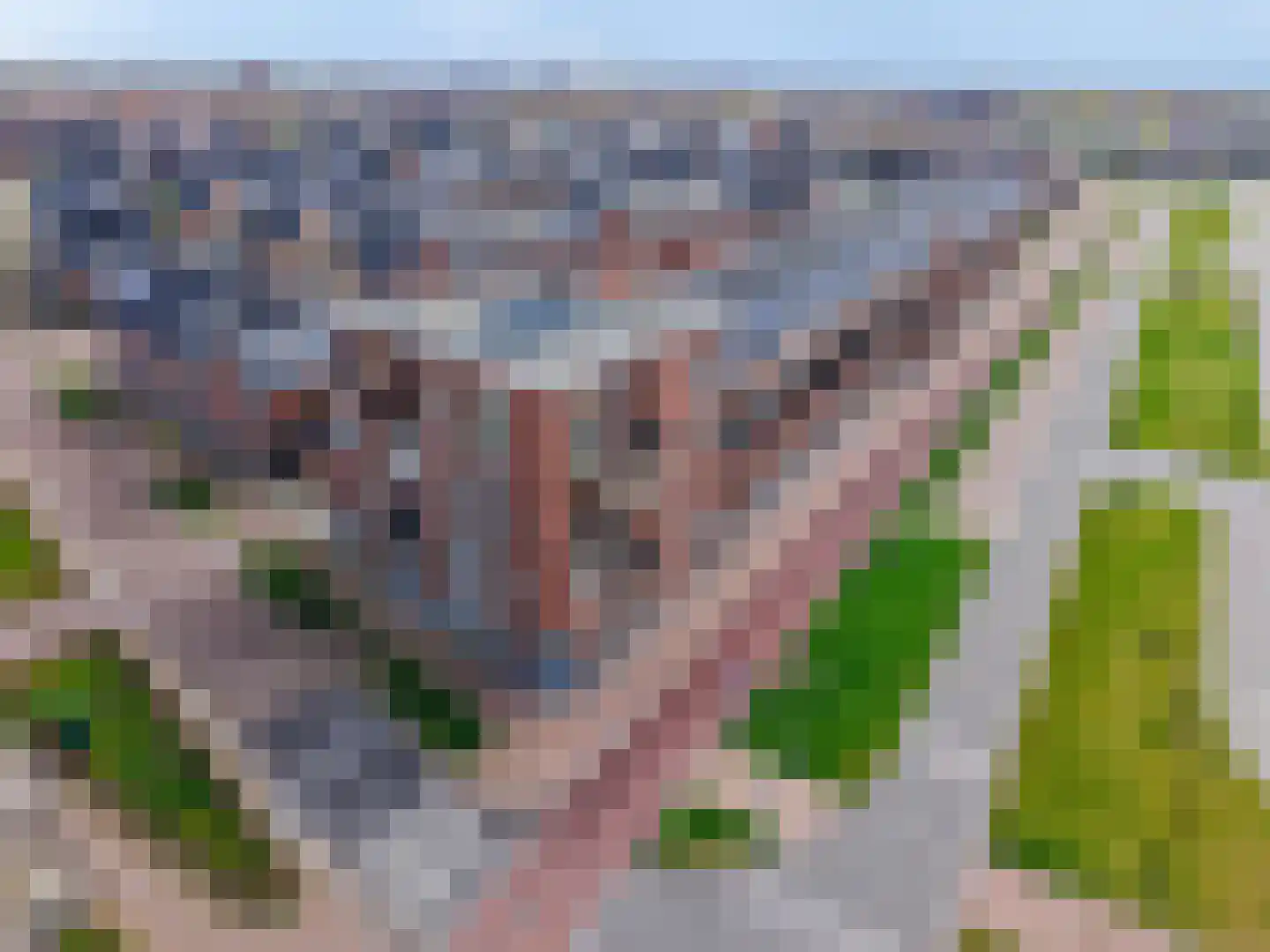 Laan van Bovenduist 122 Amersfoort thumbnail 25