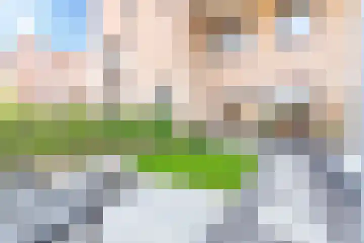 Laan van Bovenduist 132 Amersfoort thumbnail 19