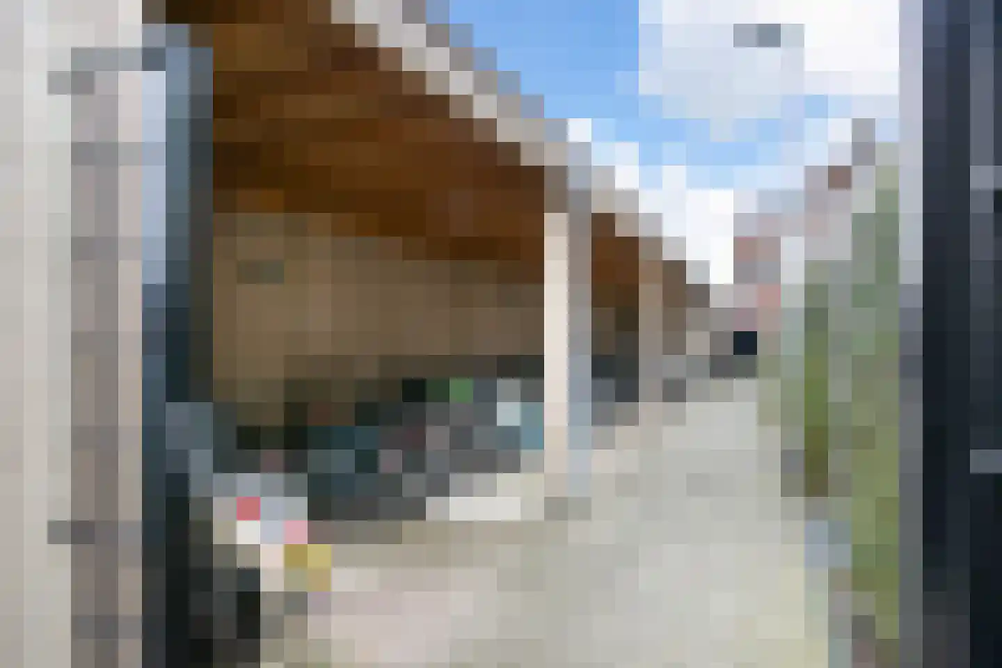 Laan van Bovenduist 160 Amersfoort thumbnail 26