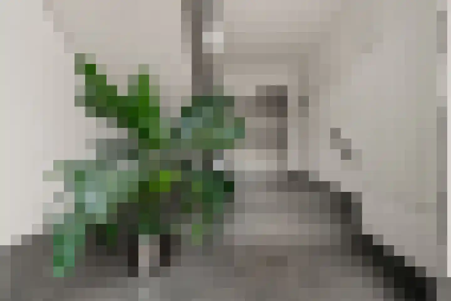 Laan van Bovenduist 180 Amersfoort thumbnail 29