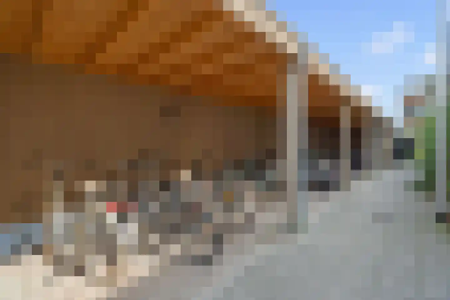 Laan van Bovenduist 180 Amersfoort thumbnail 32
