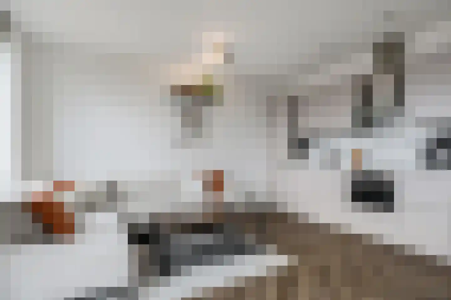 Laan van Bovenduist 182 Amersfoort thumbnail 22