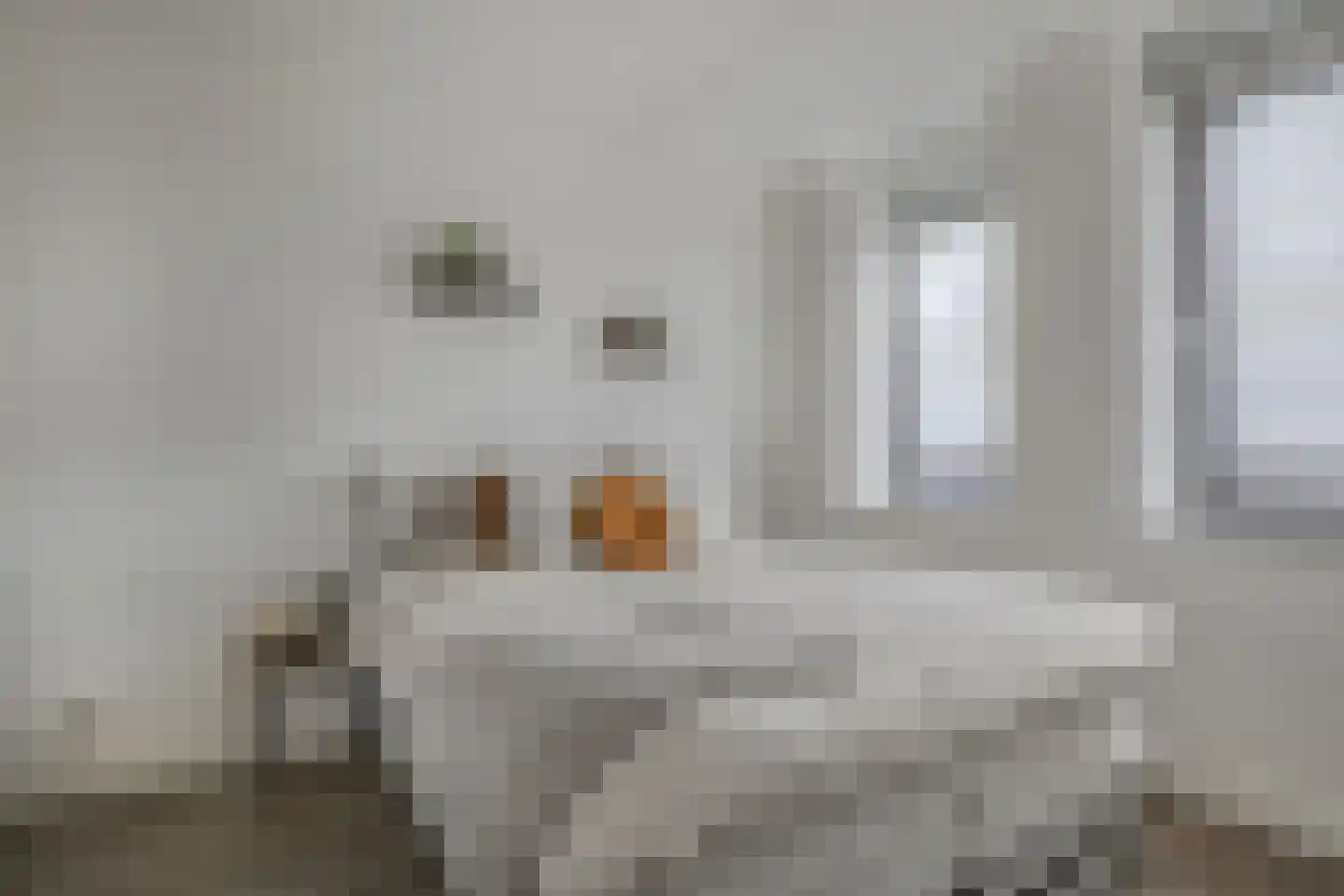 Laan van Bovenduist 182 Amersfoort thumbnail 4