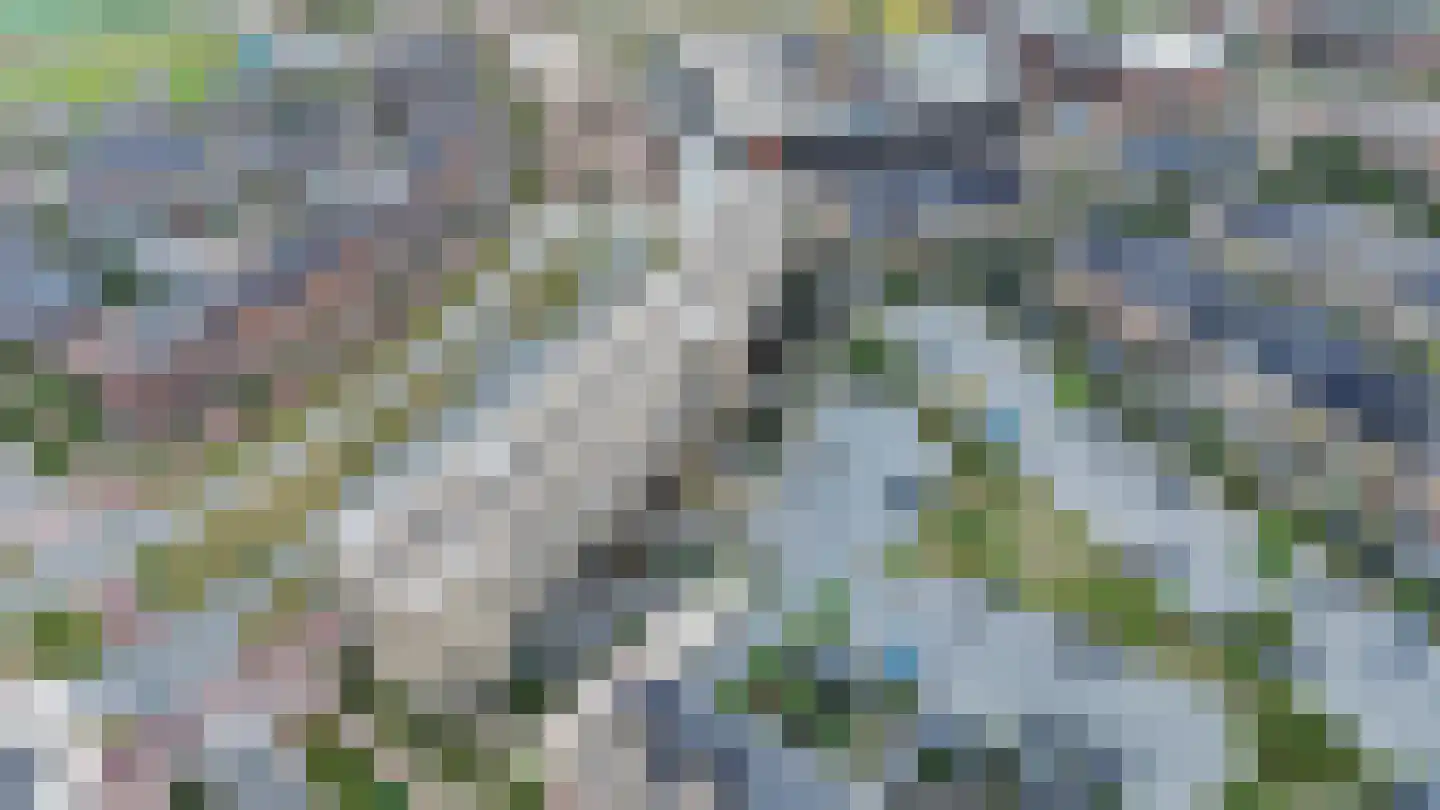 Laan van Bovenduist 182 Amersfoort thumbnail 43
