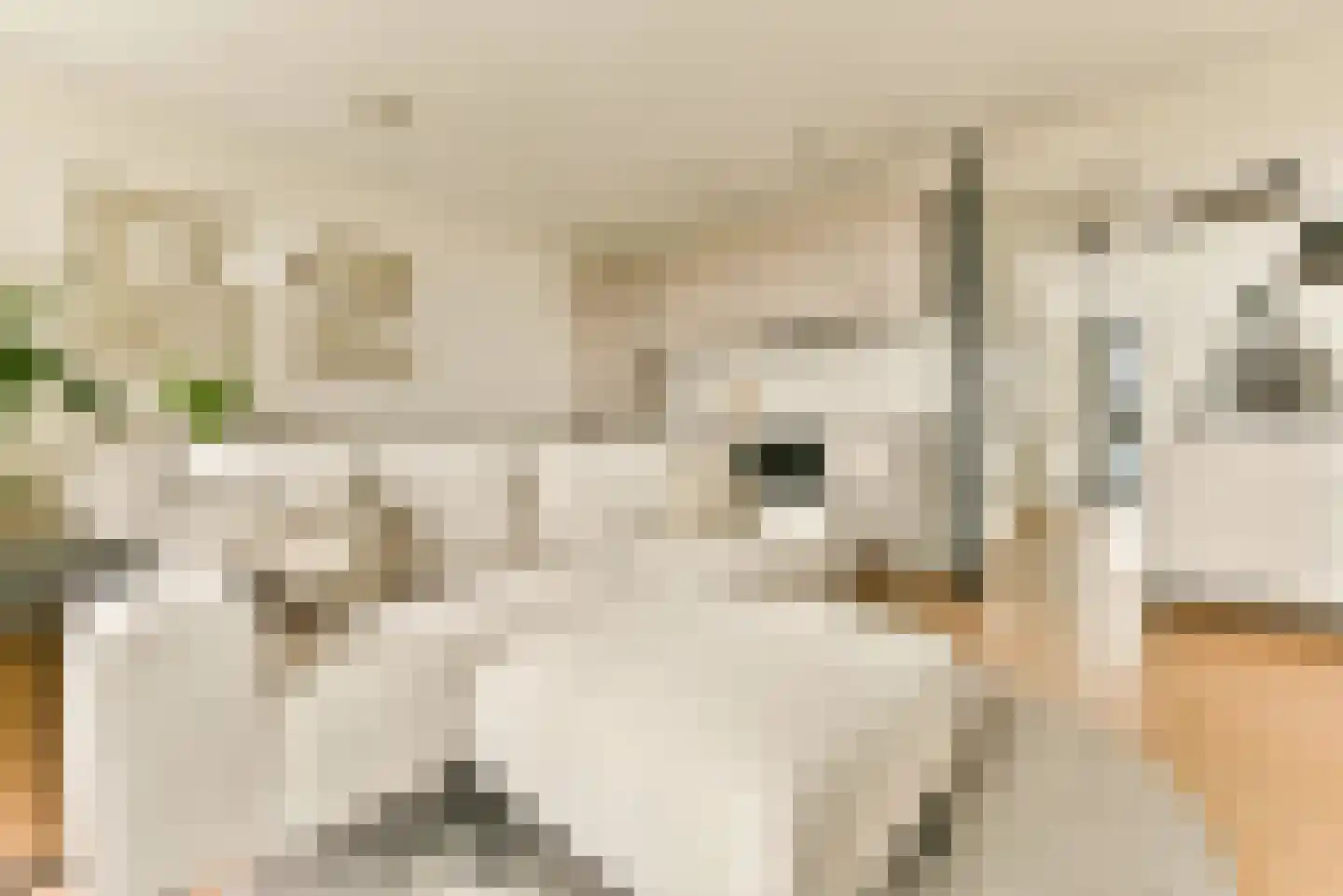 Laan van Bovenduist 200 Amersfoort thumbnail 14