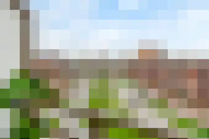 Laan van Bovenduist 206 Amersfoort thumbnail 13