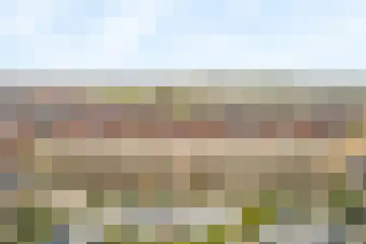 Laan van Bovenduist 206 Amersfoort thumbnail 27