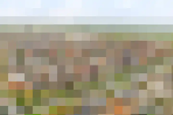 Laan van Bovenduist 206 Amersfoort thumbnail 30