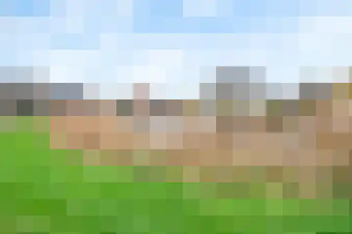 Laan van Bovenduist 206 Amersfoort thumbnail 31