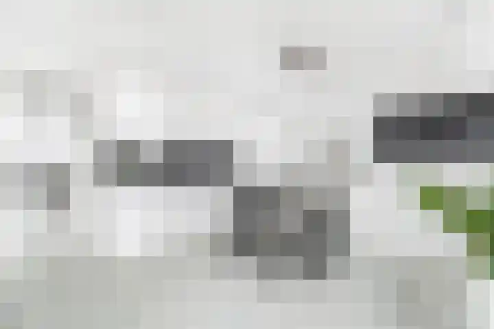 Laan van Bovenduist 206 Amersfoort thumbnail 7