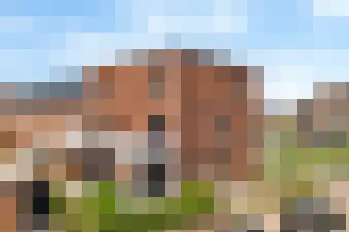 Laan van Bovenduist 41 Amersfoort thumbnail 27