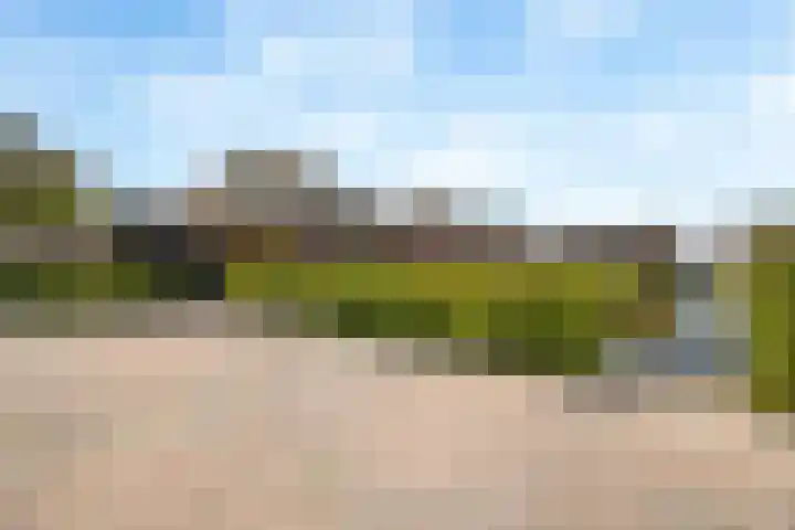 Laan van Bovenduist 41 Amersfoort thumbnail 28