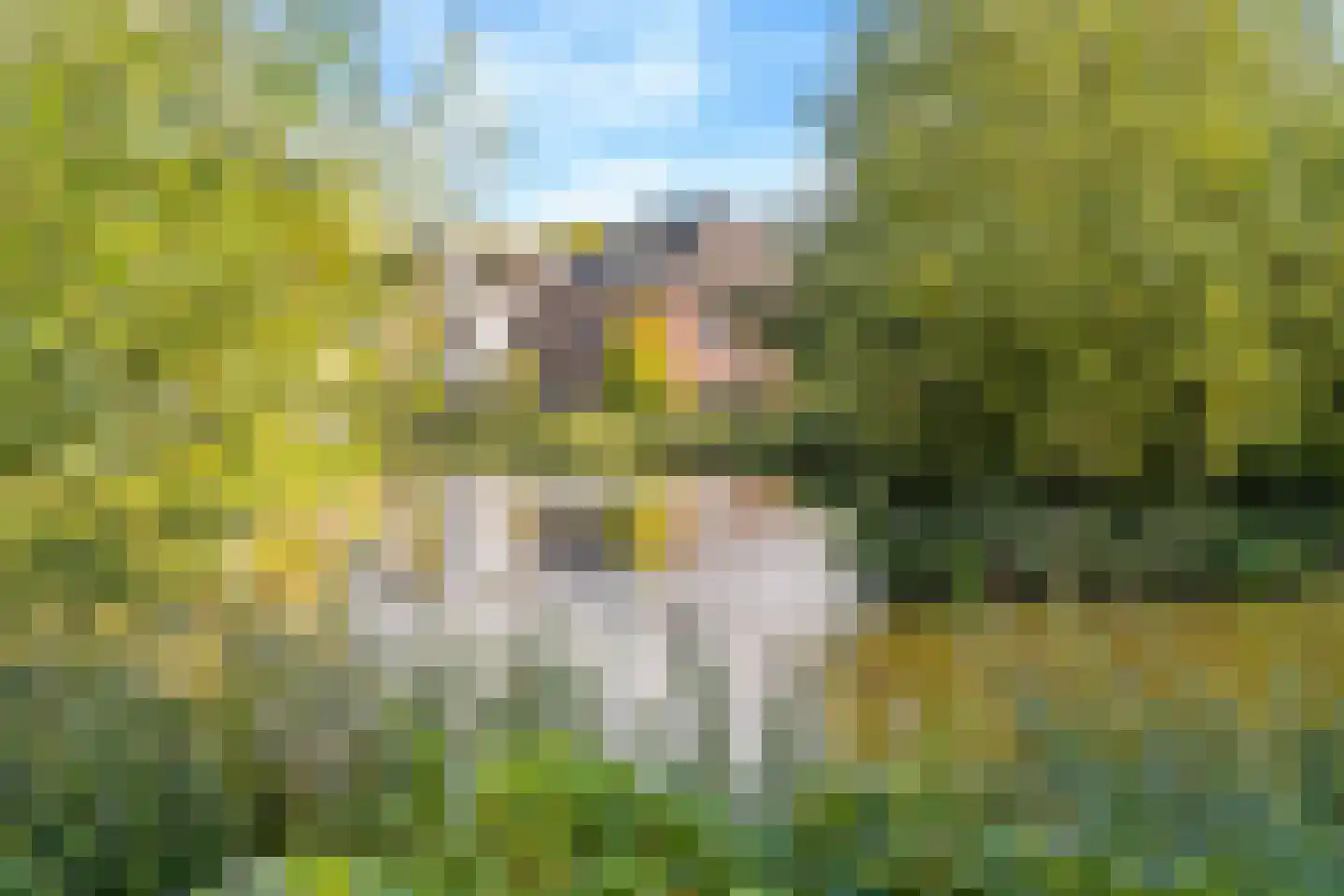 Laan van Bovenduist 77 Amersfoort thumbnail 34