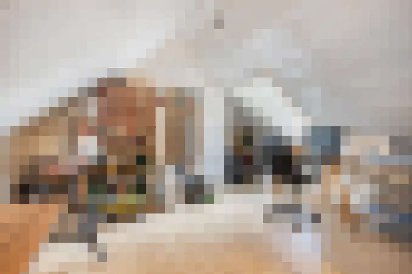 Laan van Braets 12 Dordrecht thumbnail 47