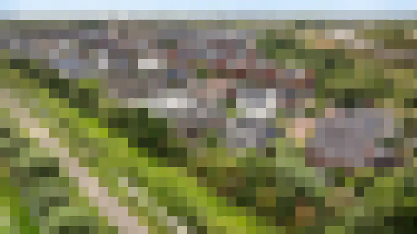 Laan van Braets 12 Dordrecht thumbnail 6