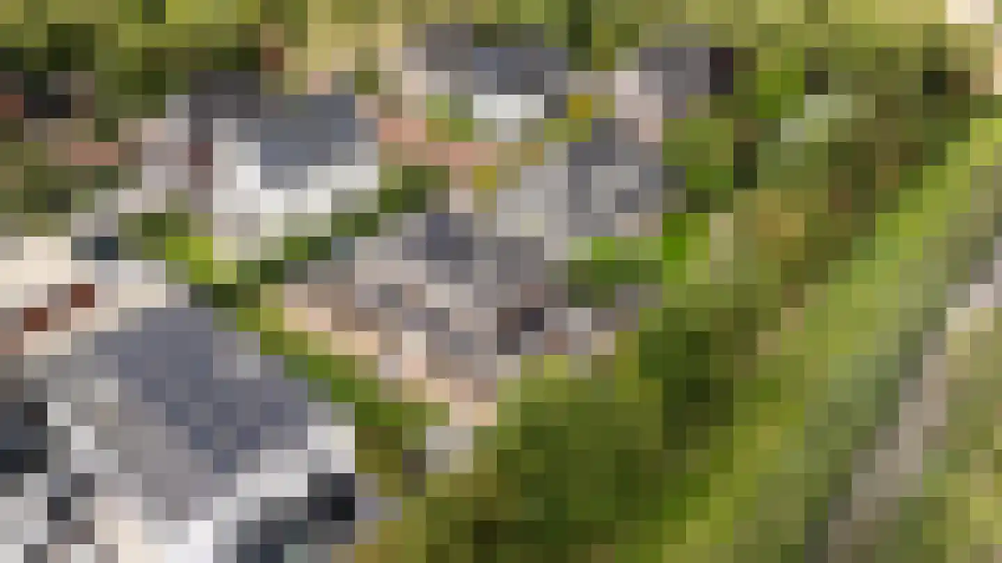 Laan van Braets 12 Dordrecht thumbnail 7