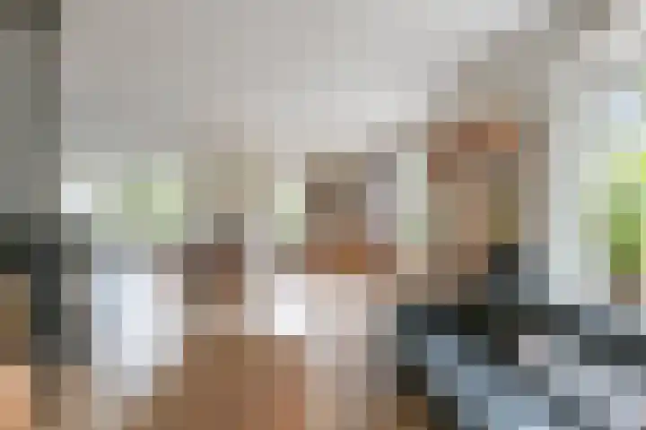 Laan van Braets 8 Dordrecht thumbnail 10