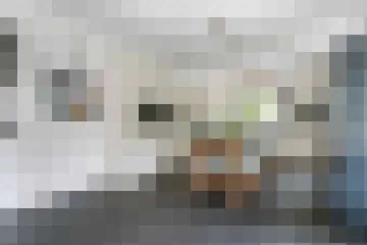 Laan van Braets 8 Dordrecht thumbnail 12