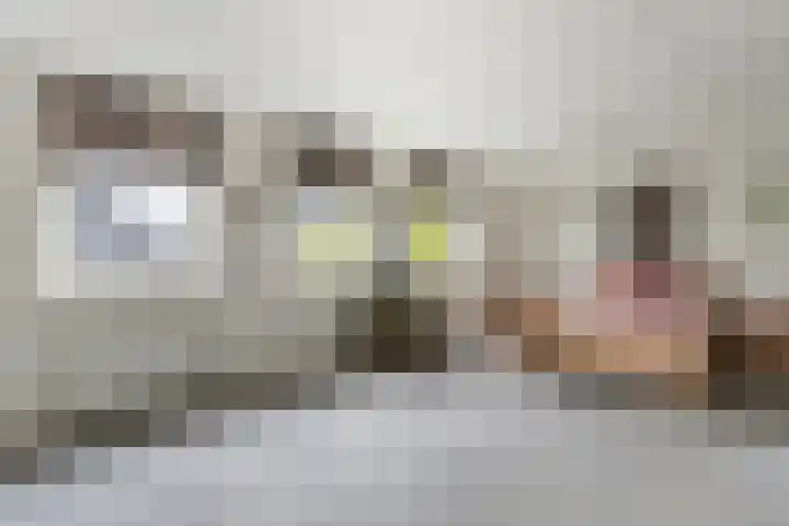 Laan van Braets 8 Dordrecht thumbnail 17