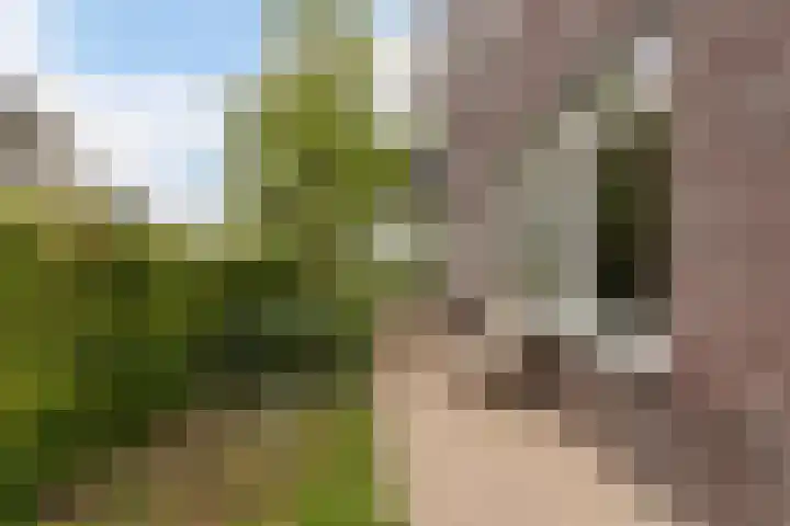 Laan van Braets 8 Dordrecht thumbnail 28