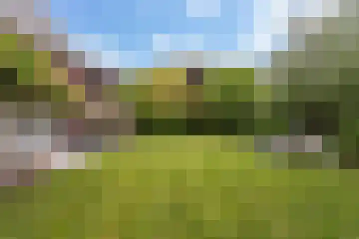 Laan van Braets 8 Dordrecht thumbnail 32