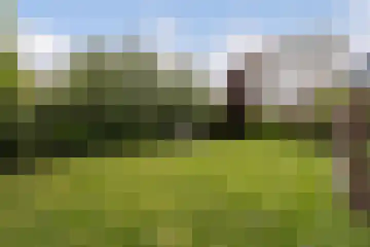 Laan van Braets 8 Dordrecht thumbnail 34