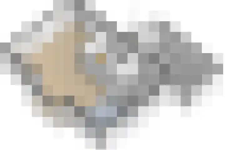 Laan van Braets 8 Dordrecht thumbnail 36