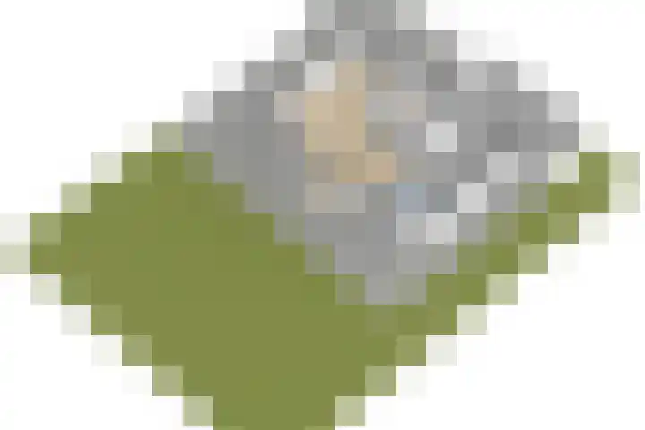 Laan van Braets 8 Dordrecht thumbnail 42