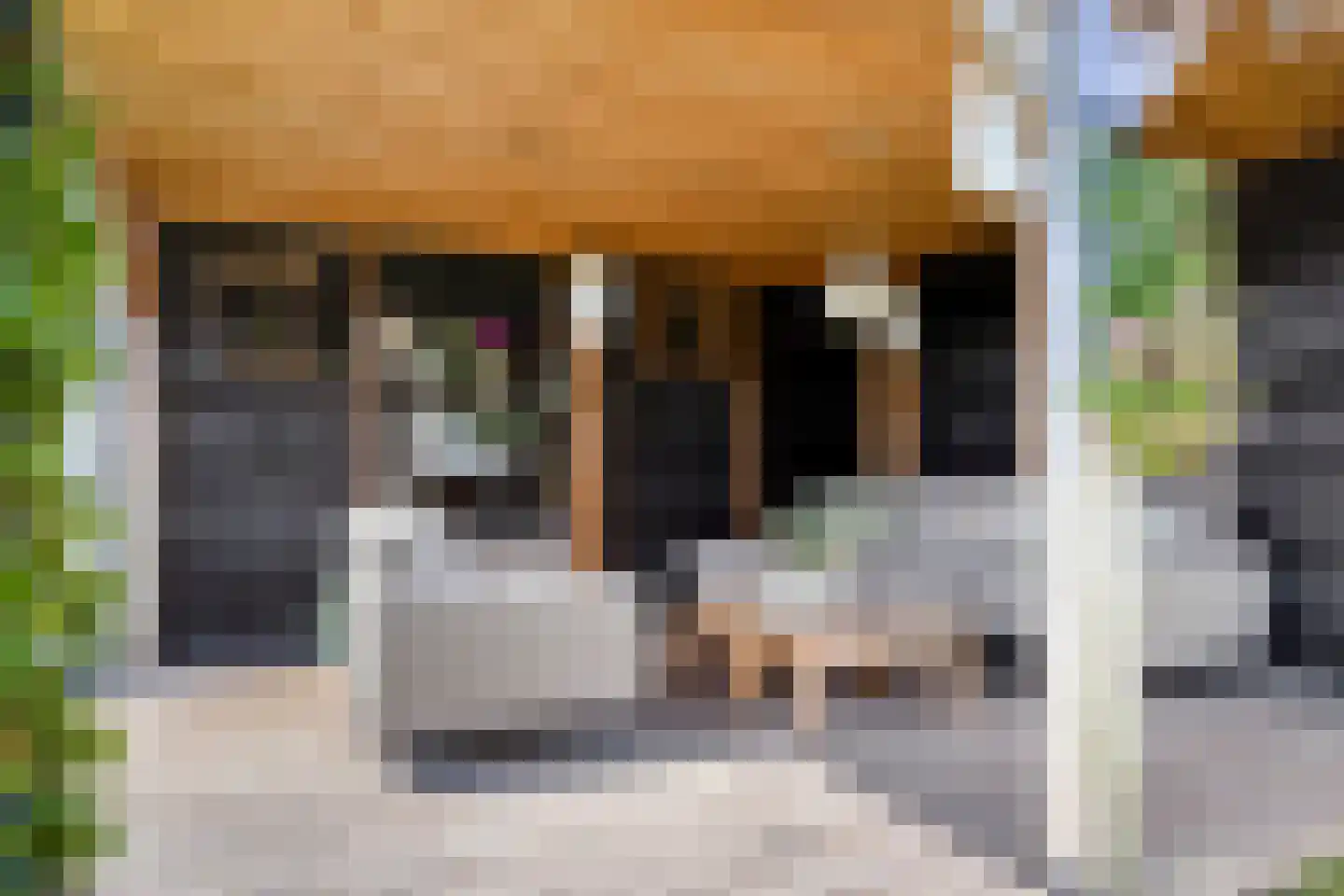 Laan van Broekhorn 10 Heerhugowaard thumbnail 16