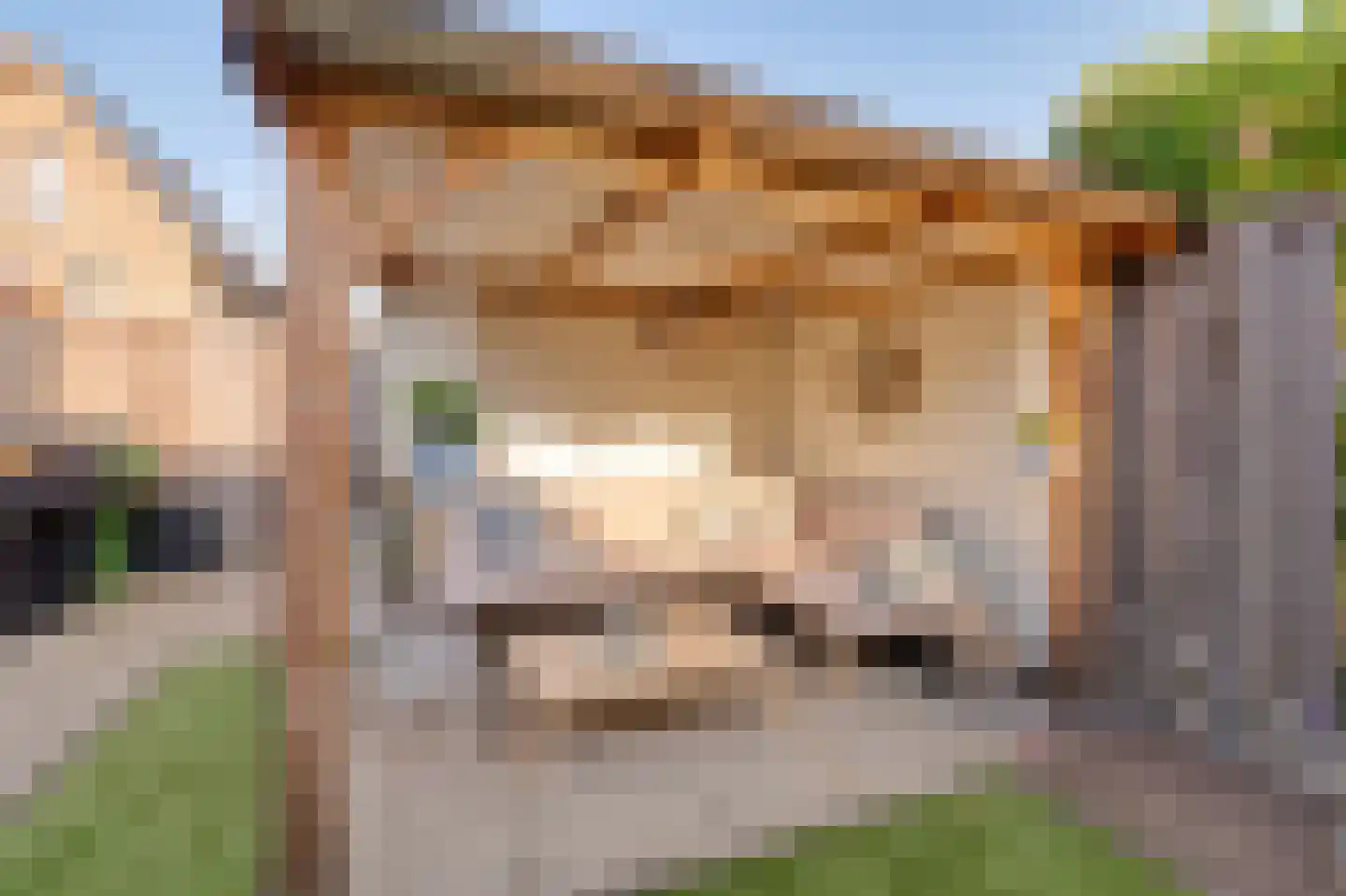Laan van Broekhorn 18 Heerhugowaard thumbnail 20