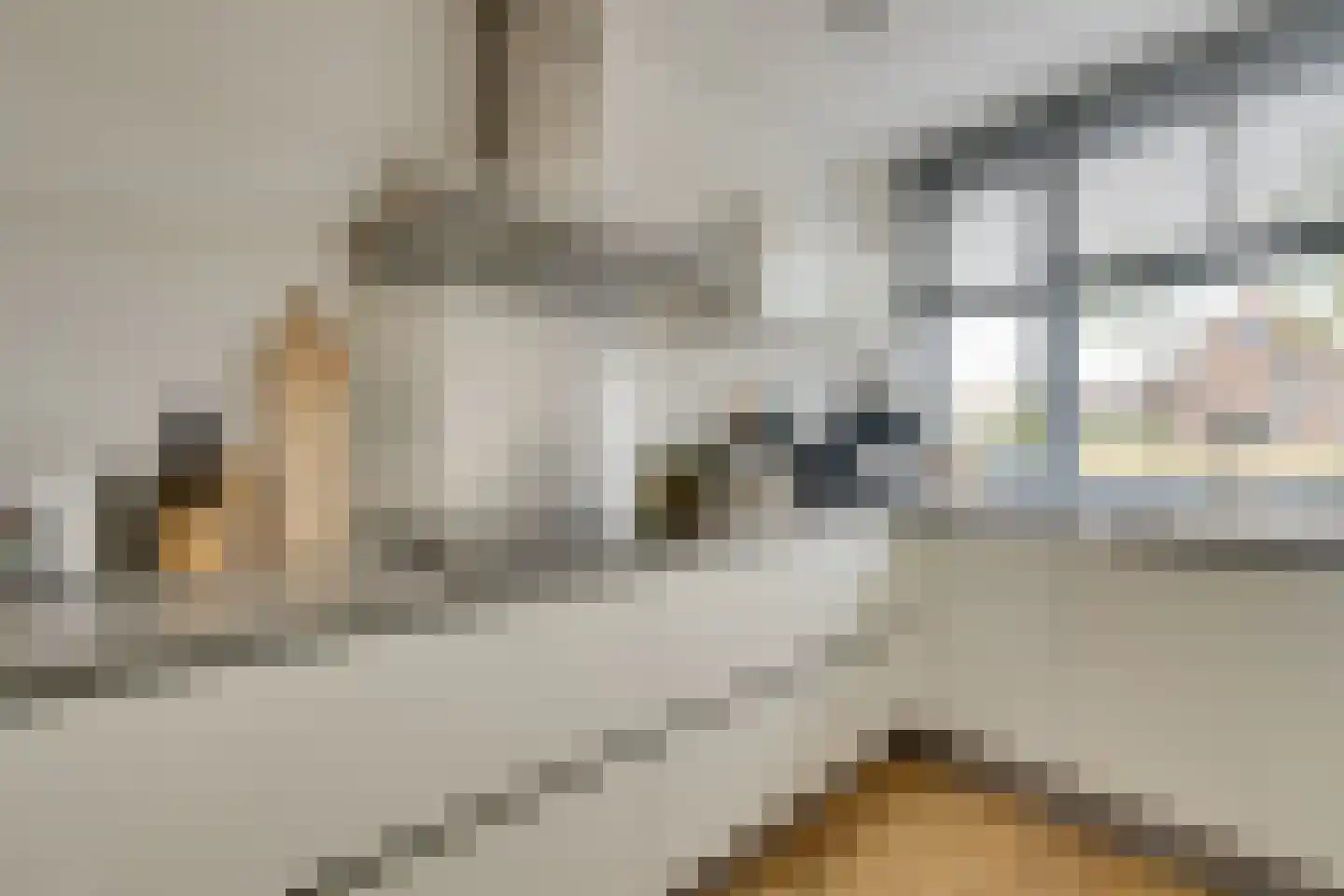 Laan van Broekhorn 18 Heerhugowaard thumbnail 21