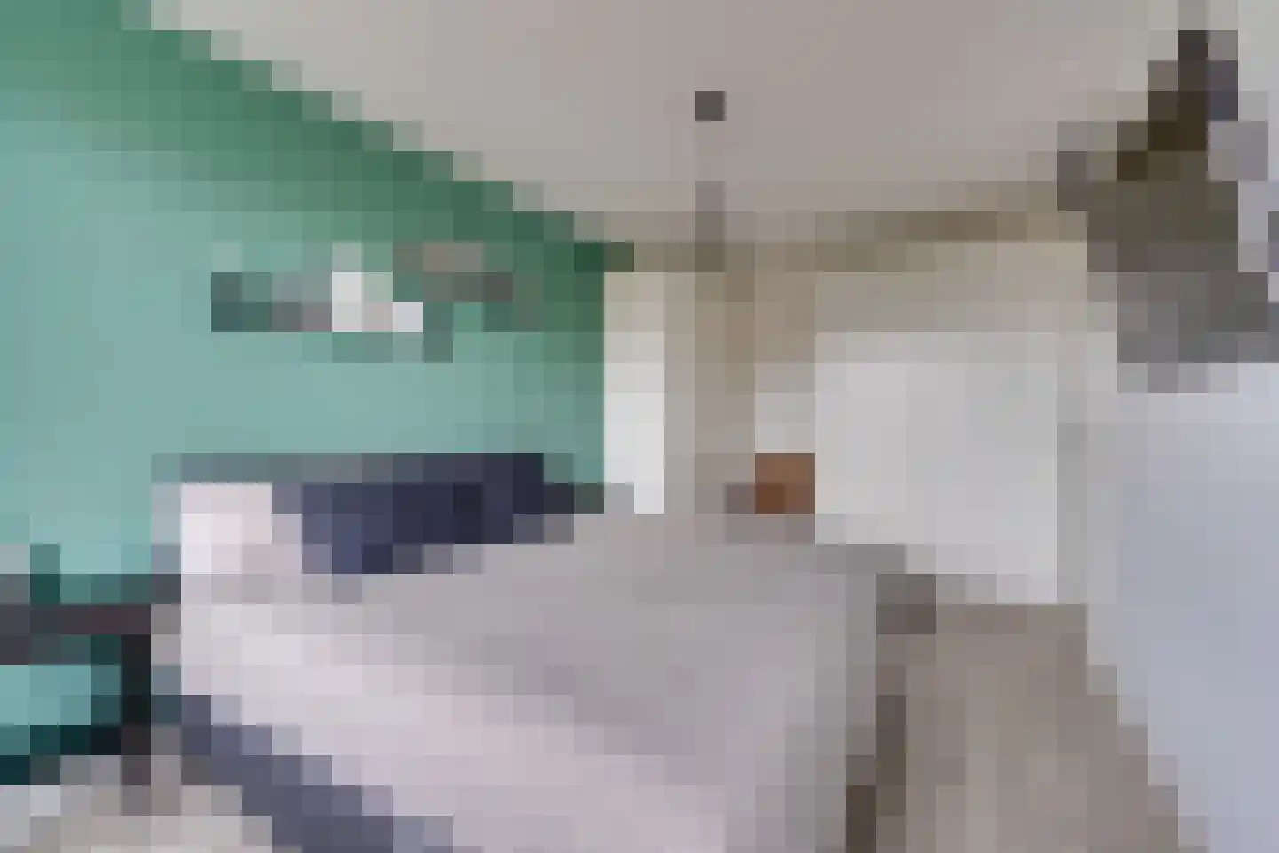 Laan van Broekhorn 18 Heerhugowaard thumbnail 34