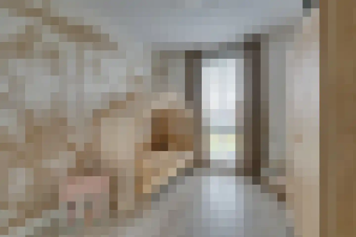Laan van Broekhorn 18 Heerhugowaard thumbnail 35