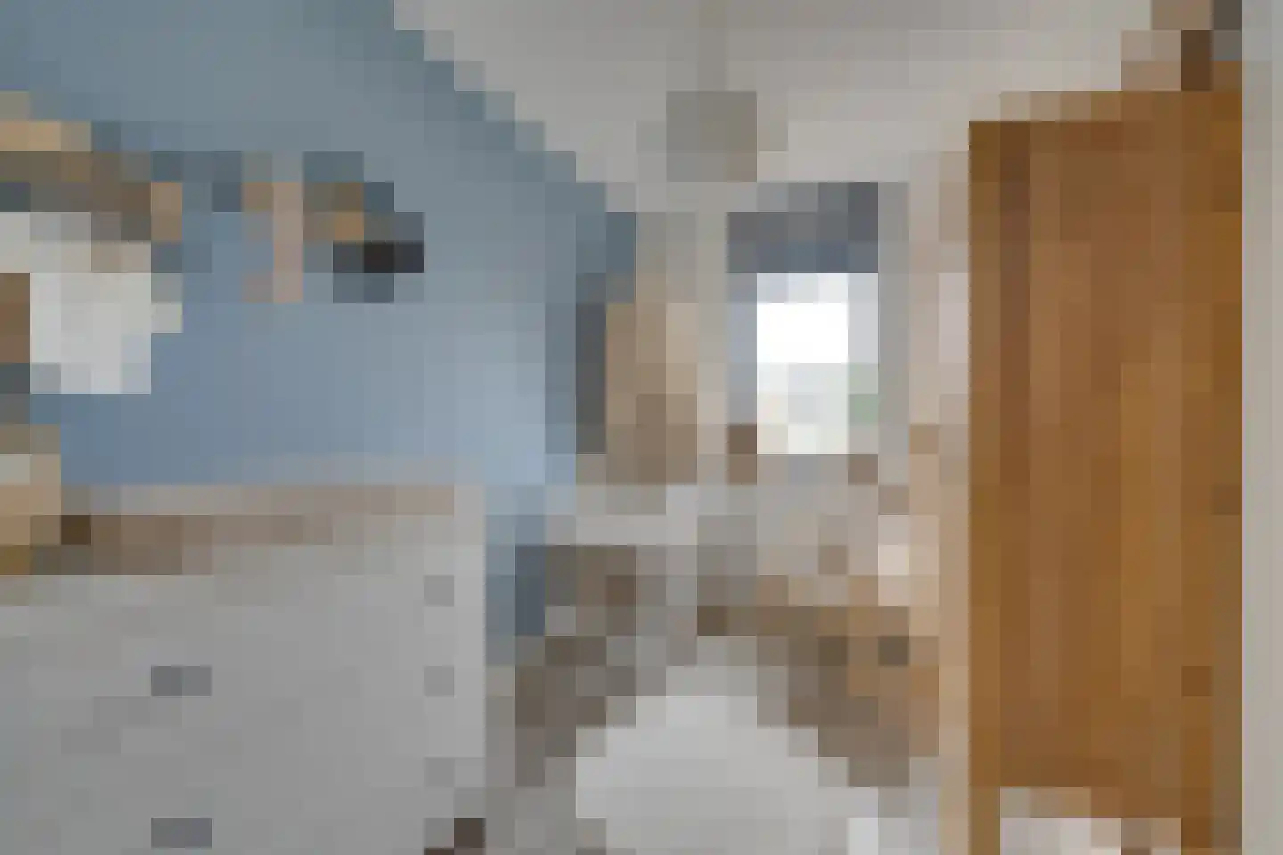 Laan van Broekhorn 18 Heerhugowaard thumbnail 38