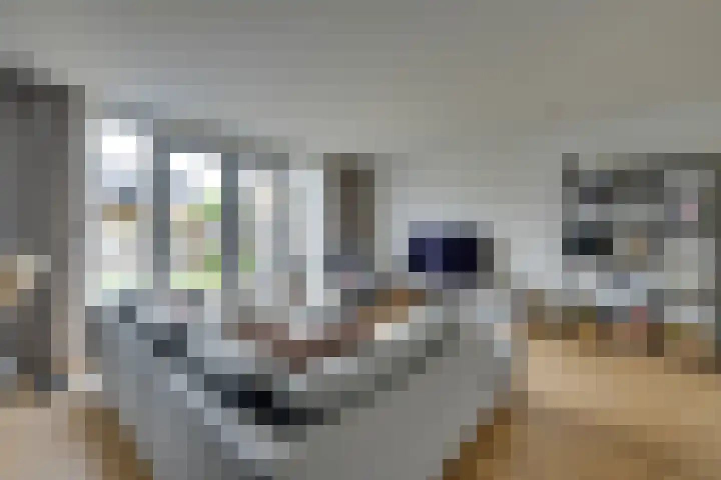 Laan van Broekhorn 18 Heerhugowaard thumbnail 8