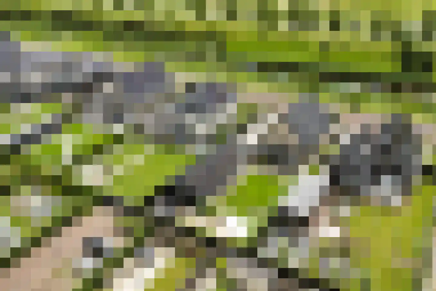 Laan van Broekhorn 37 Heerhugowaard thumbnail 54