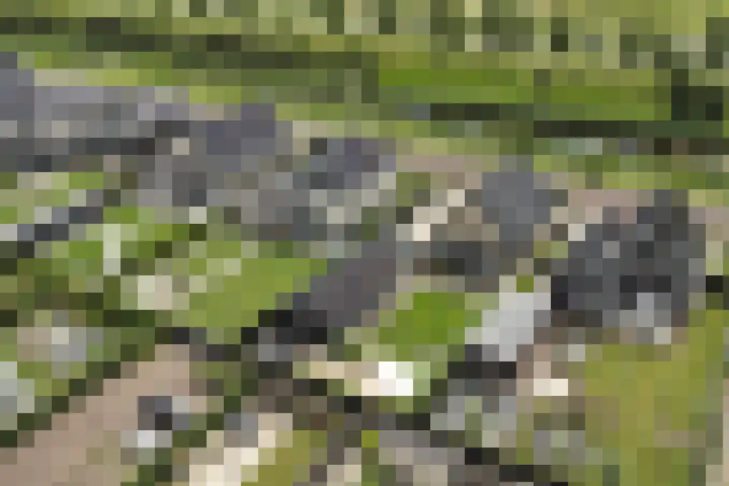 Laan van Broekhorn 37 Heerhugowaard thumbnail 57