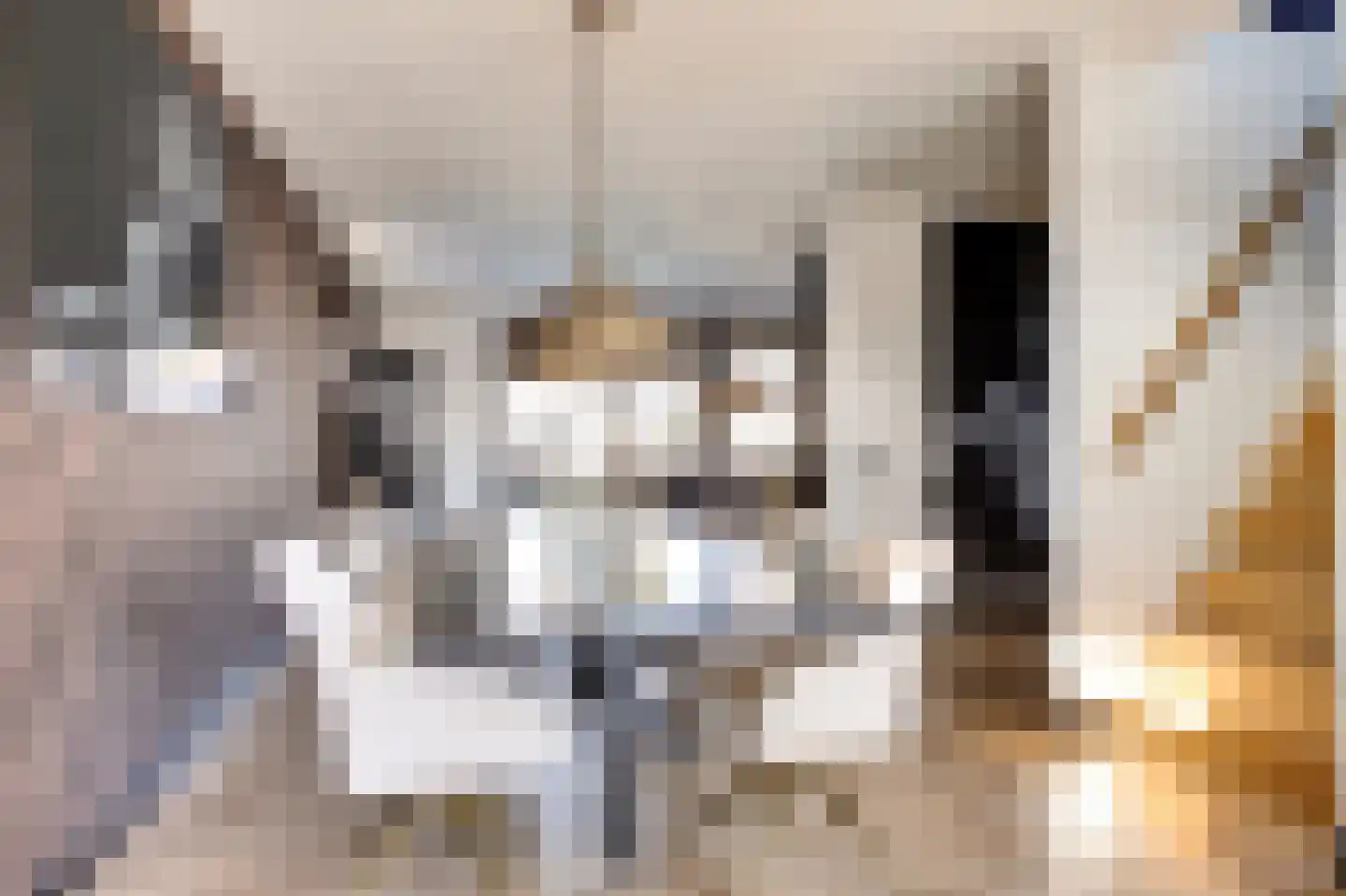 Laan van Broekhorn 37 Heerhugowaard thumbnail 8