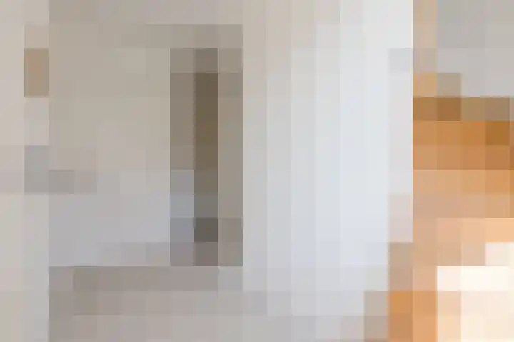 Laan van Broekhorn 43 Heerhugowaard thumbnail 15