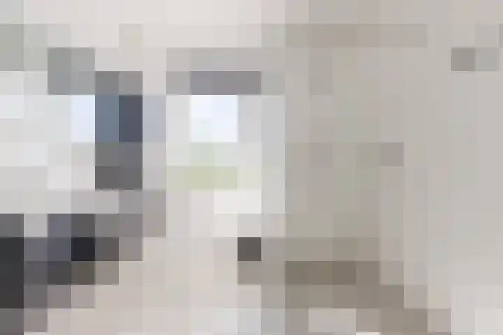 Laan van Broekhorn 43 Heerhugowaard thumbnail 23