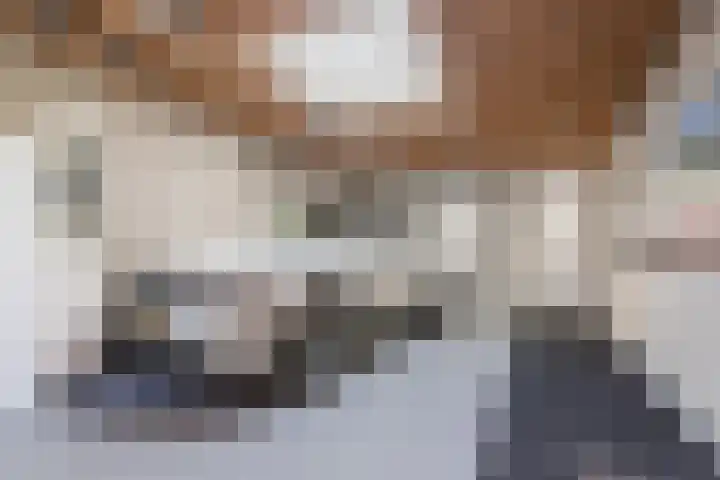 Laan van Broekhorn 43 Heerhugowaard thumbnail 33