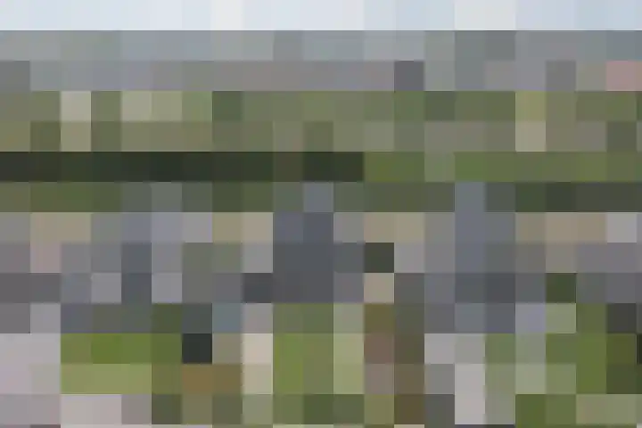 Laan van Broekhorn 43 Heerhugowaard thumbnail 34
