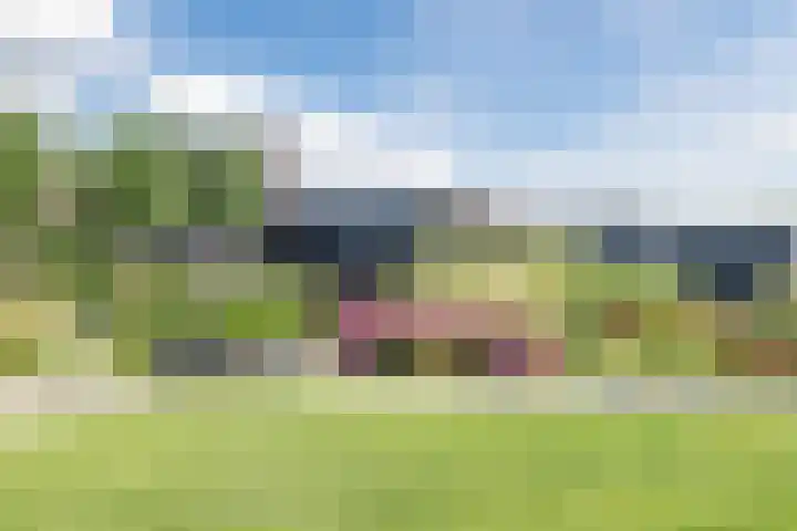 Laan van Broekhorn 43 Heerhugowaard thumbnail 36
