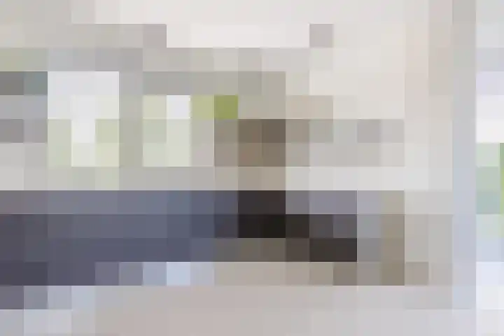 Laan van Broekhorn 43 Heerhugowaard thumbnail 8