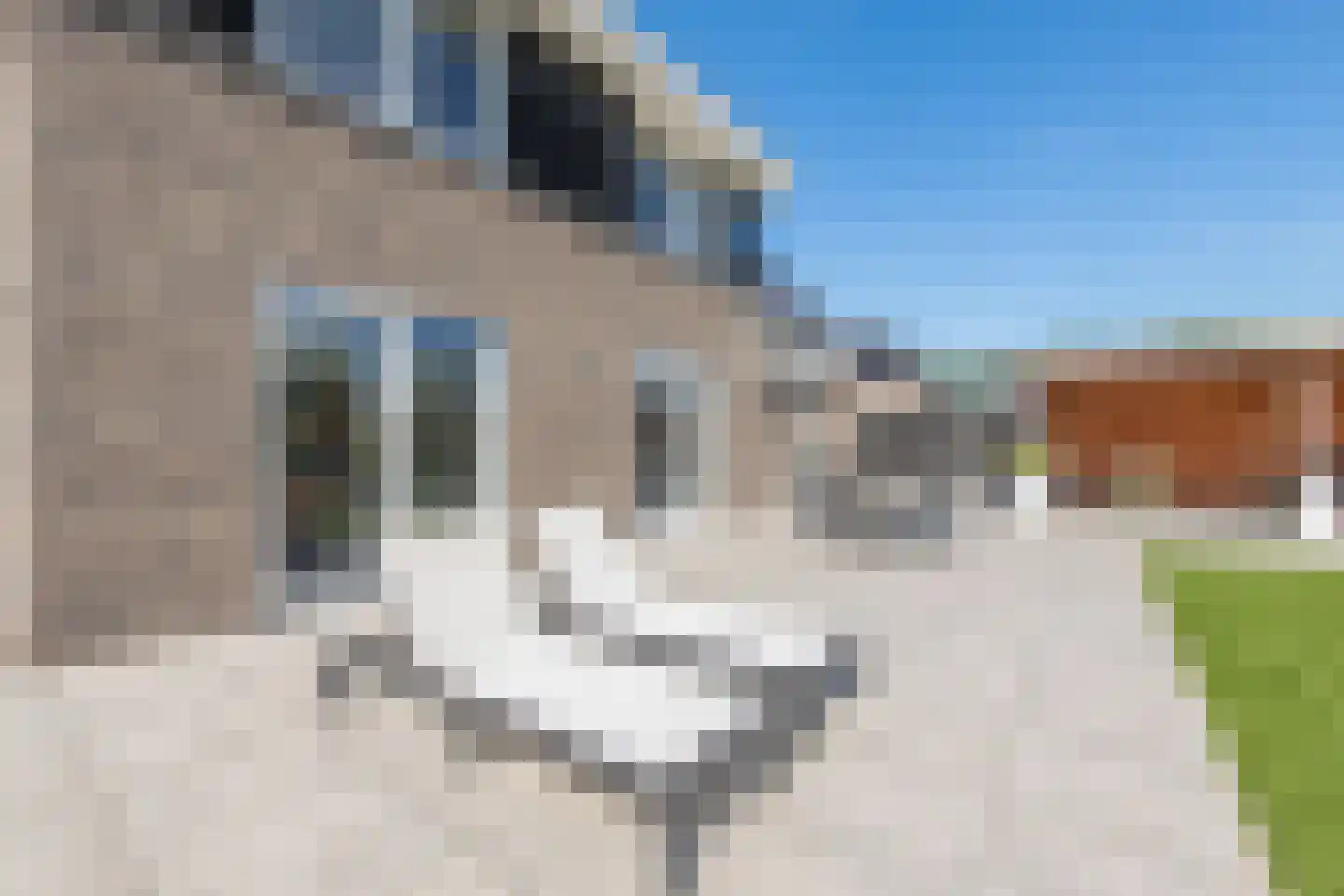 Laan van Broekhorn 74 Heerhugowaard thumbnail 63