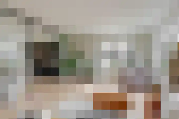 Laan van Broekhorn 78 Heerhugowaard thumbnail 11